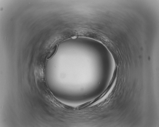 X0000060751155200511171115