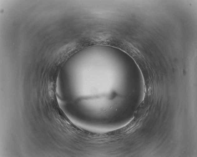 X0000060751156200511171115