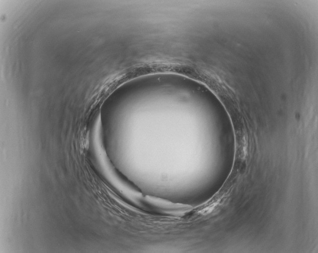 X0000060751157200511171115