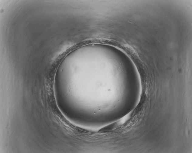 X0000060751159200511171115