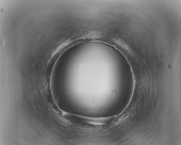 X0000060751160200511171115