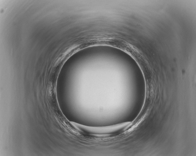 X0000060751161200511171115