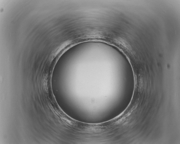 X0000060751162200511171115