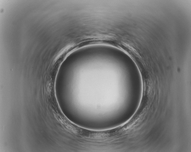 X0000060751163200511171115