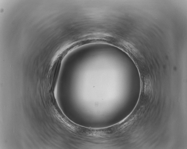 X0000060751164200511171115