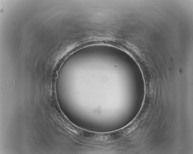 X0000060751165200511171115