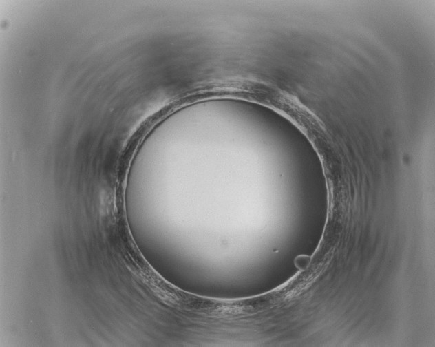 X0000060751166200511171115