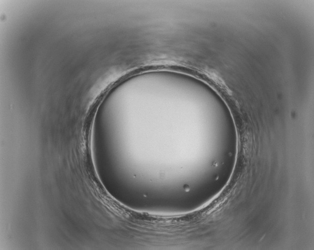 X0000060751167200511171115