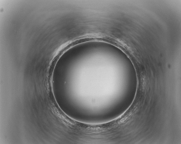 X0000060751168200511171115