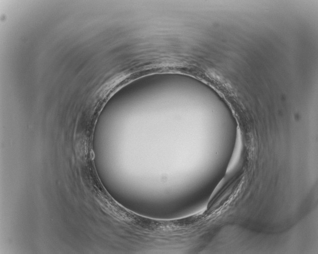 X0000060751169200511171115