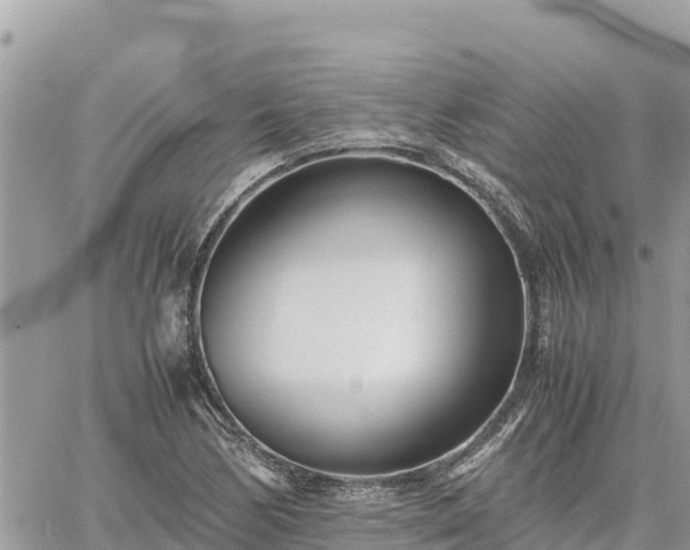 X0000060751170200511171115