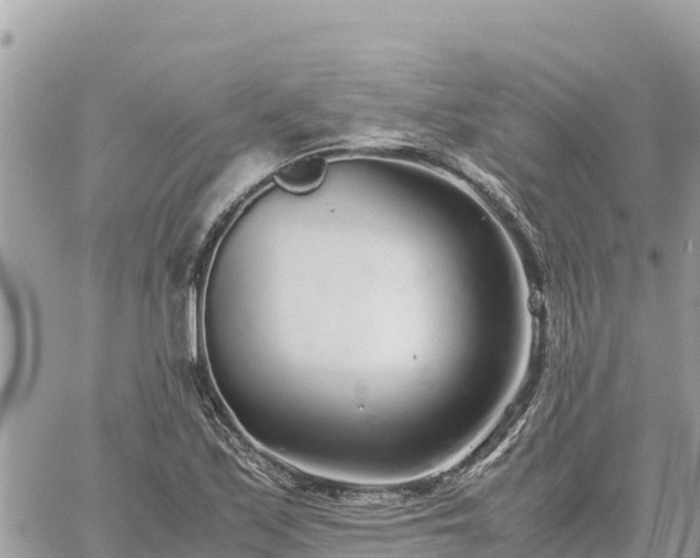 X0000060751171200511171115