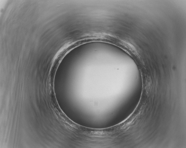 X0000060751172200511171115