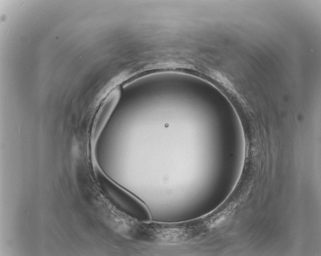 X0000060751173200511171115