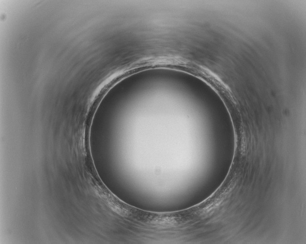 X0000060751174200511171115