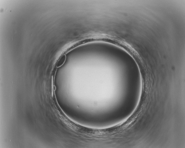 X0000060751175200511171115