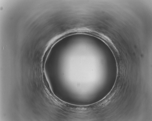 X0000060751176200511171115