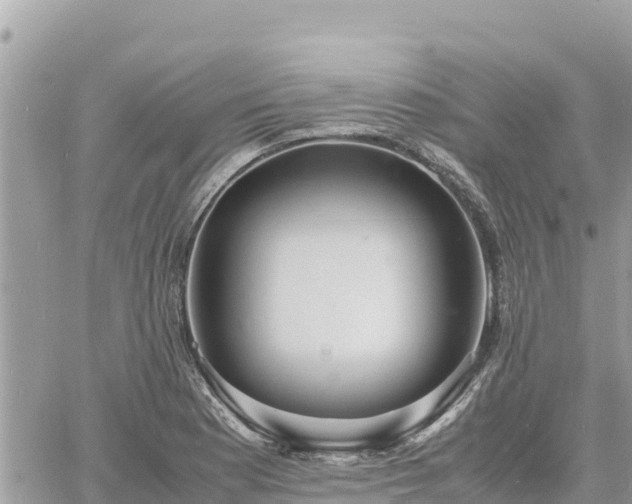 X0000060751177200511171115