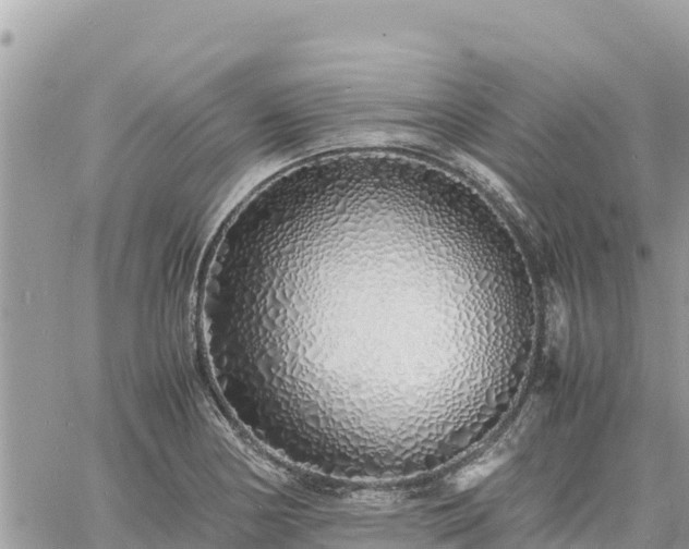 X0000060751178200511171115