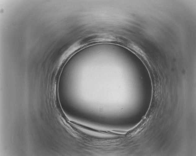 X0000060751179200511171115