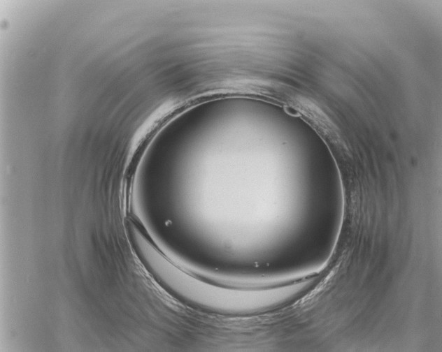 X0000060751180200511171115