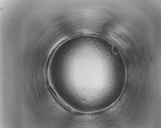 X0000060751182200511171115