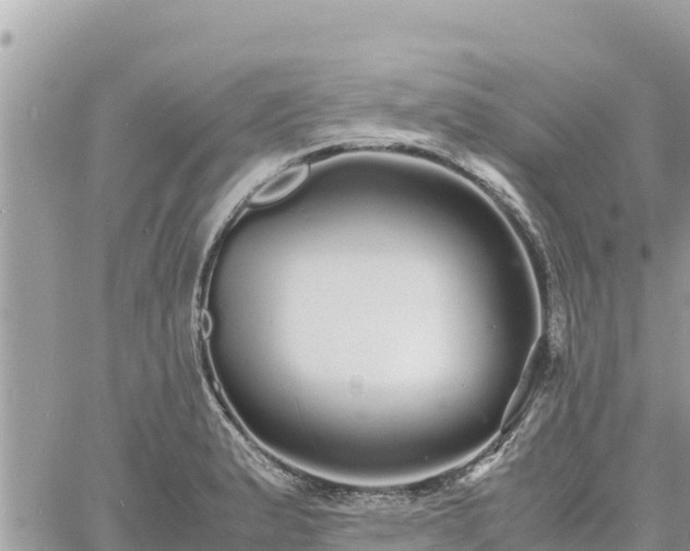 X0000060751183200511171115