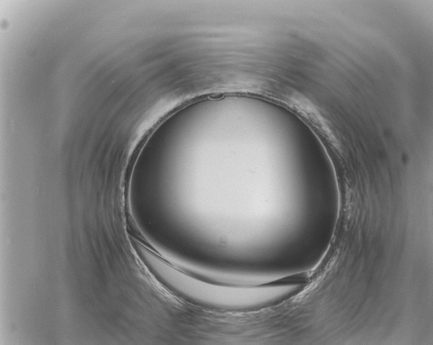 X0000060751184200511171115