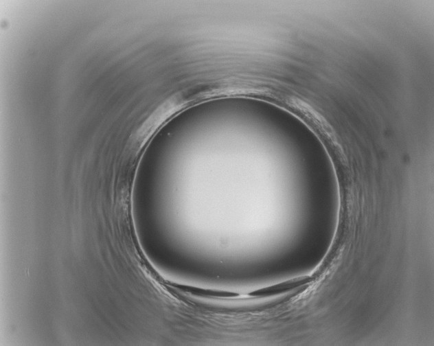 X0000060751185200511171115