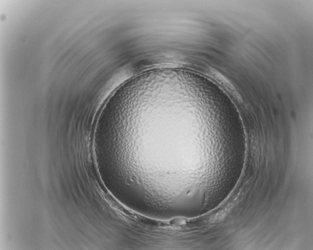 X0000060751186200511171115