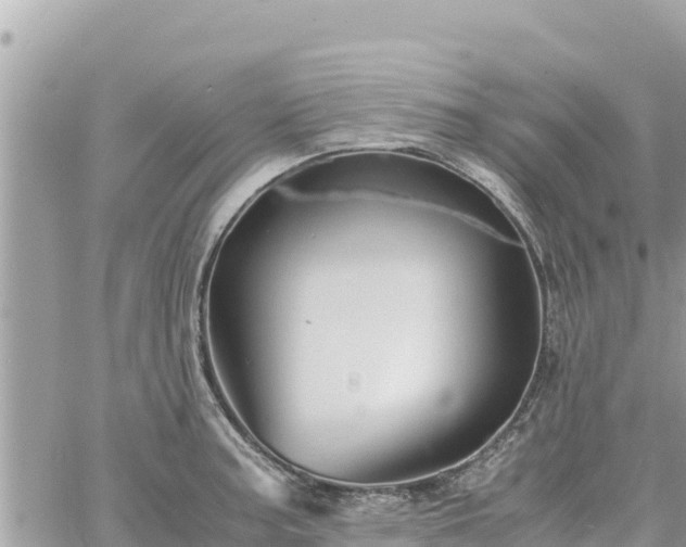 X0000060751187200511171115