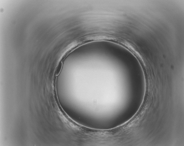 X0000060751189200511171115