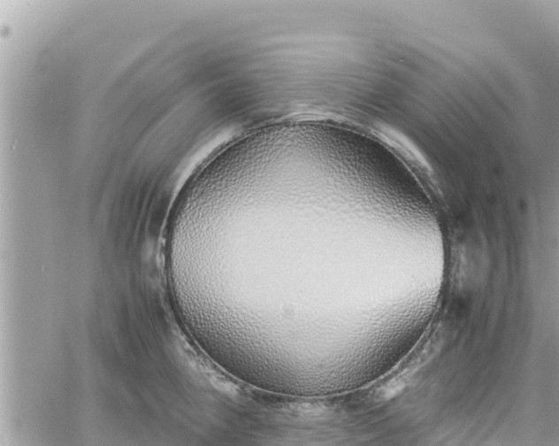 X0000060751190200511171115