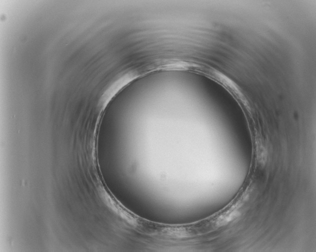 X0000060751194200511171114