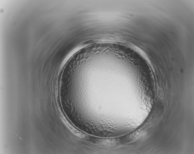 X0000060751195200511171114