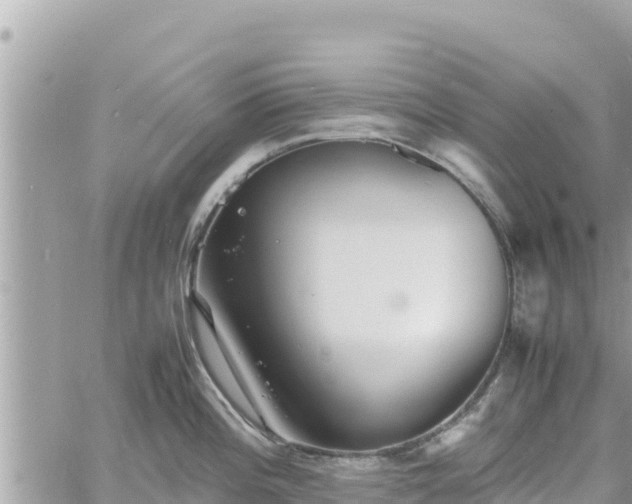 X0000060751196200511171114