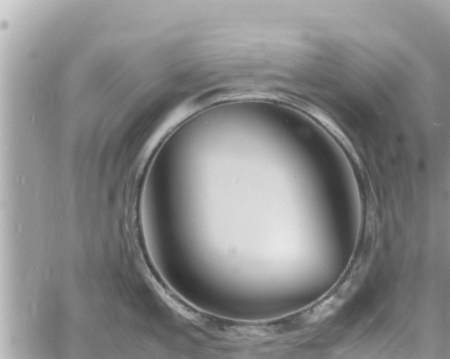 X0000060751197200511171114