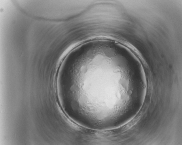 X0000060751199200511171114