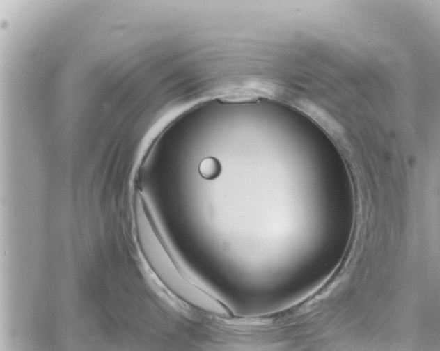 X0000060751200200511171114