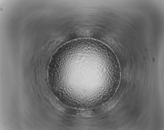 X0000060751201200511171114