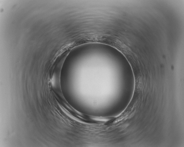 X0000060751202200511171114