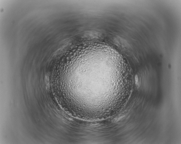 X0000060751203200511171114