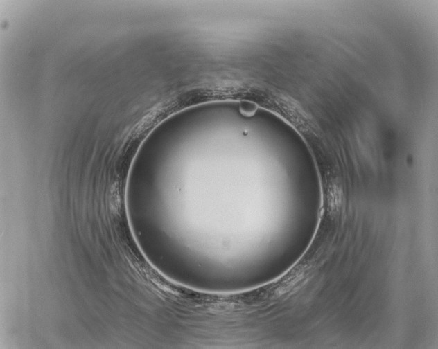 X0000060751204200511171114