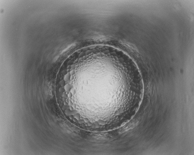 X0000060751205200511171114