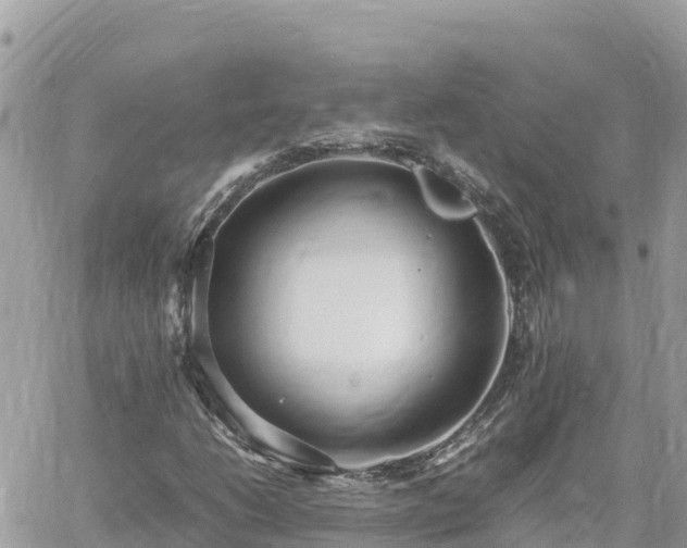 X0000060751206200511171114