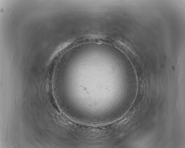 X0000060751207200511171114