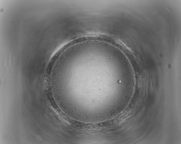 X0000060751208200511171114