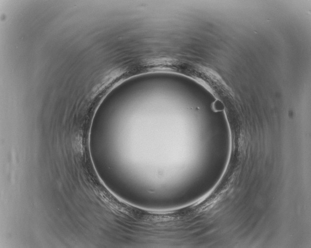 X0000060751209200511171114