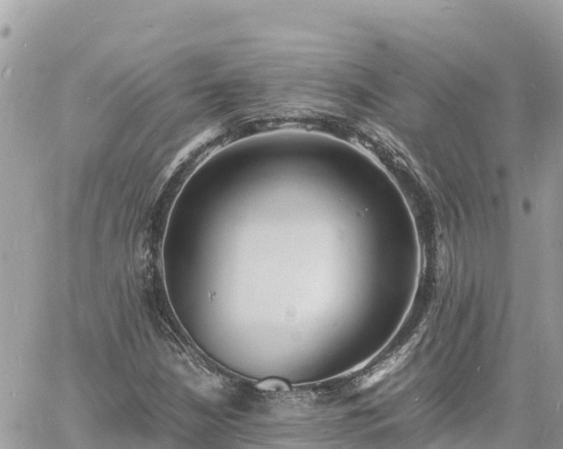 X0000060751210200511171114