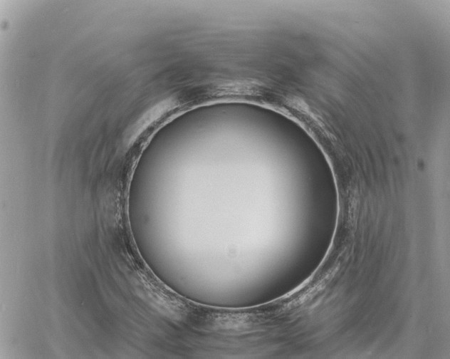 X0000060751211200511171114